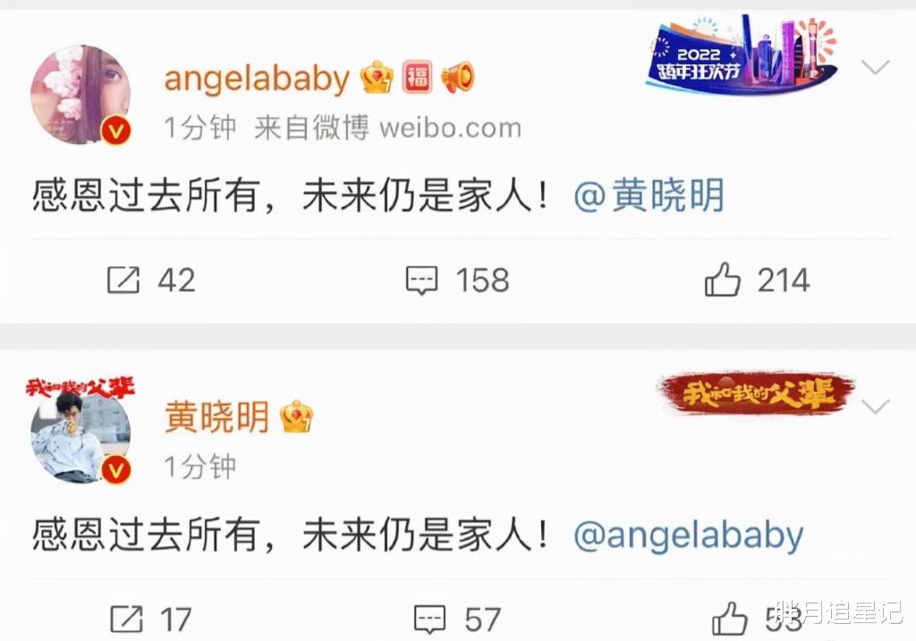 实力配不上“野心”，杨颖的“遮羞布”，终于是被她亲手扯下