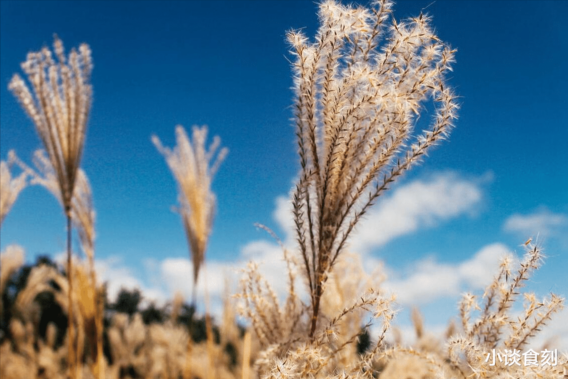 8月7日立秋不一般,出现4大特点,有什么预兆?建议提前做好准备