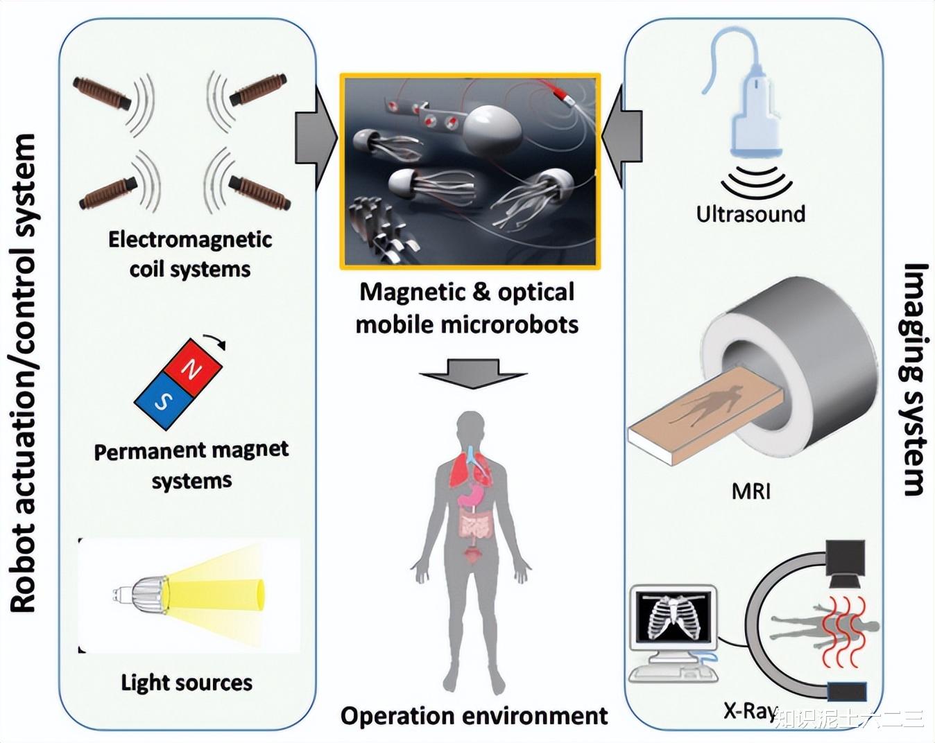 水凝膠微型機(jī)器人，材料多樣性能優(yōu)