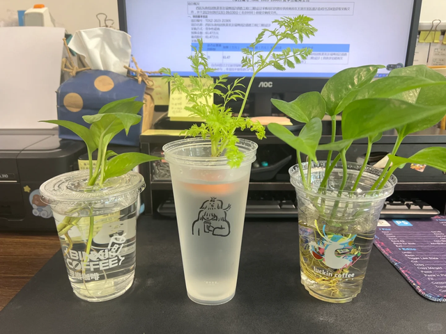 张馨予的豪宅曝光，无数人直呼羡慕: 花海美不胜收，菜园圈粉百万