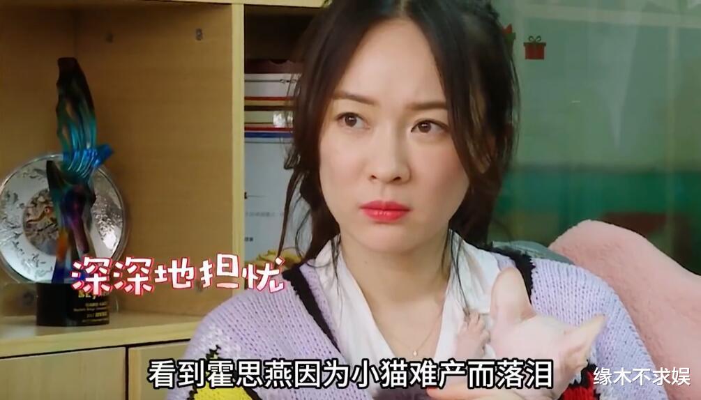 霍思燕一家阿那亚被偶遇,珍珠待遇超嗯哼,10岁嗯哼又高又瘦!