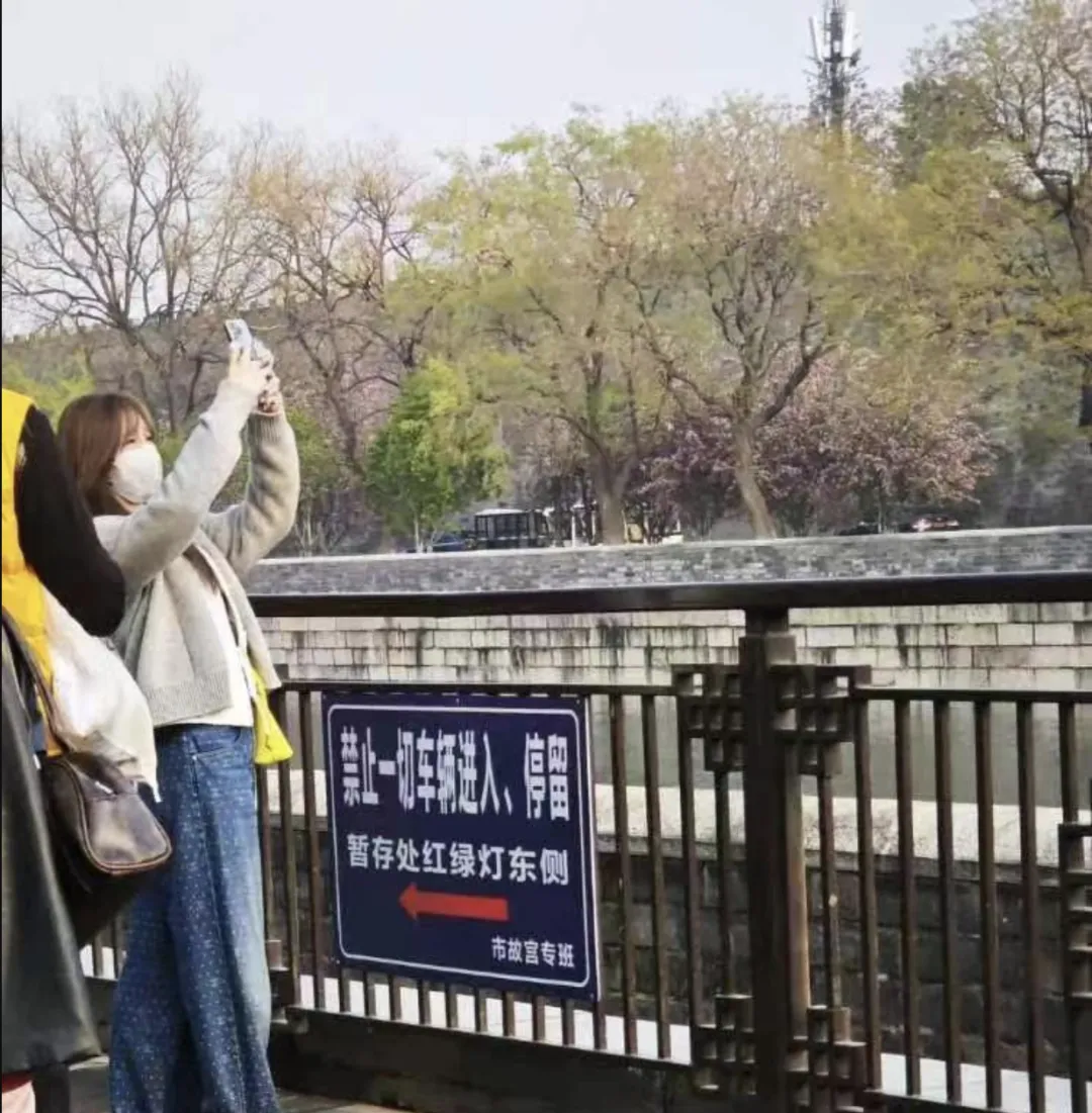 41岁王心凌现状：大眼睛下雨天逛故宫，网友争着给她「撑伞」