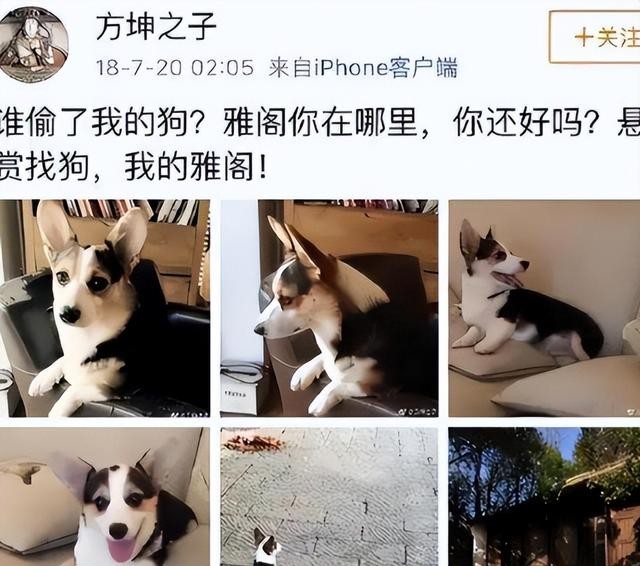 以为是假新闻,没想到是真的,从袁立到大S,个个离谱惊人