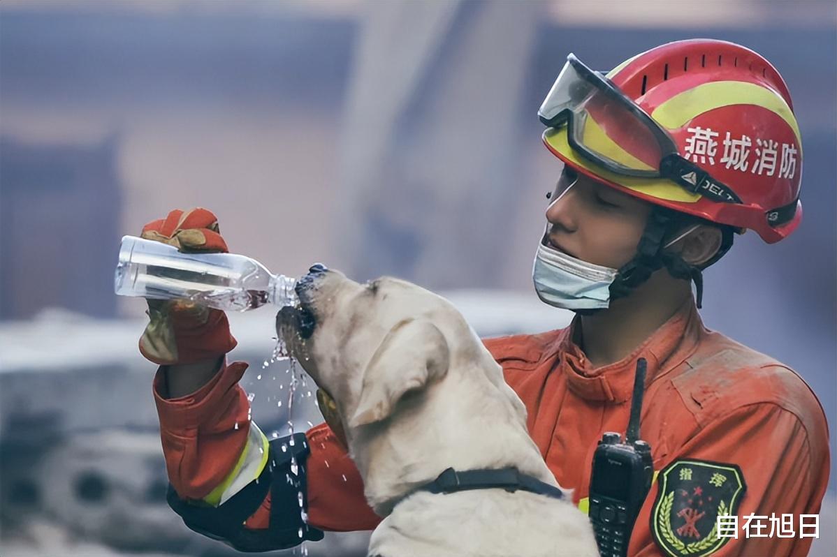从顶流到全网嘲,33岁就跌落神坛,杨洋还能再爬起来吗?