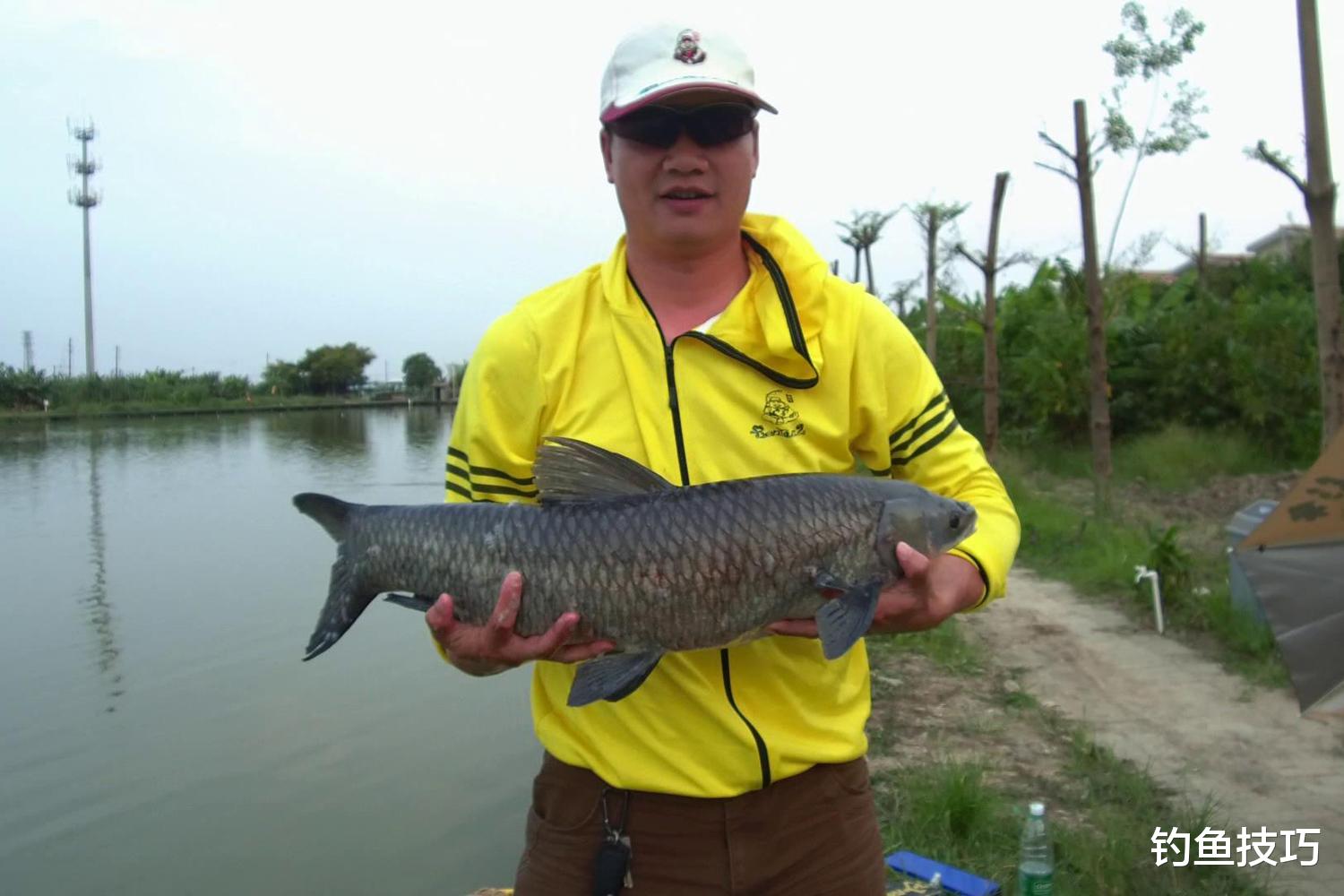 初春钓青鱼的5个知识点,初春钓青鱼全攻略