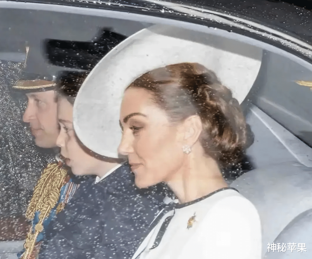 凯特发布全家福照片,除了她之外其他人都是生龙活虎,她很孤独!