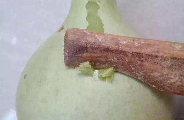 自家种的葫这样一搞，比别人的文玩葫芦更美