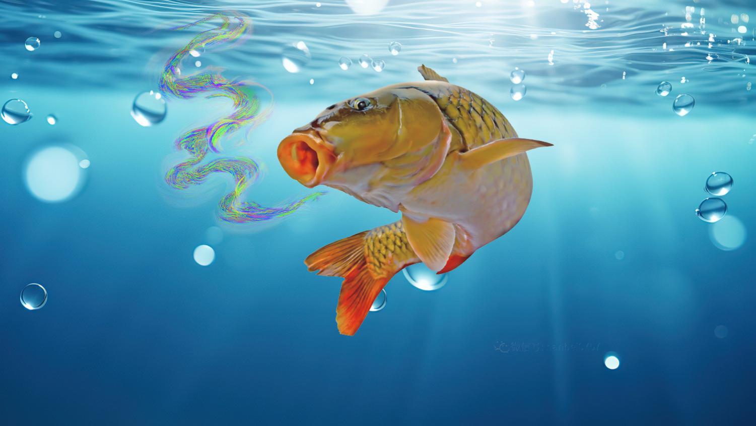 鱼饵味型正确的4个表现，鱼饵味型太重要了