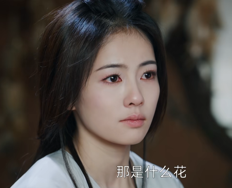 《白月梵星》即将空降，4位实力派演员压轴，白鹿抽到王炸