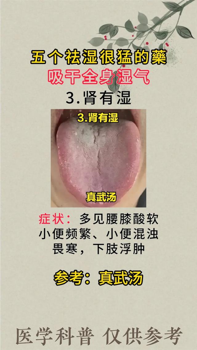 湿气重？别怕！五大神奇药材，轻松吸干体内湿气