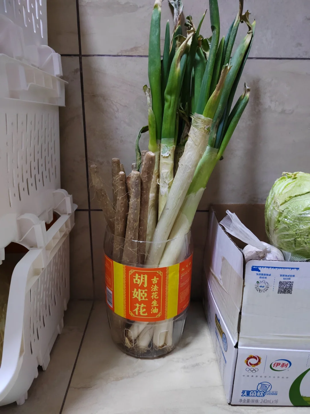 论“极简”，我婆婆是个狠人，不多花一分钱，日子过得照样滋润