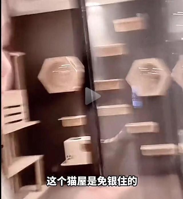 赵本山女儿晒沈阳新家，8室5厅7卫总共1018平，有钱就是任性！