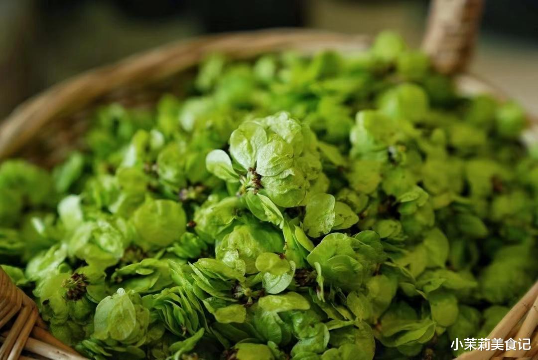 春天唯一不含草酸的野菜，一化痰，二除湿，三增免疫，随手一蒸鲜甜清香，经常失眠多吃点