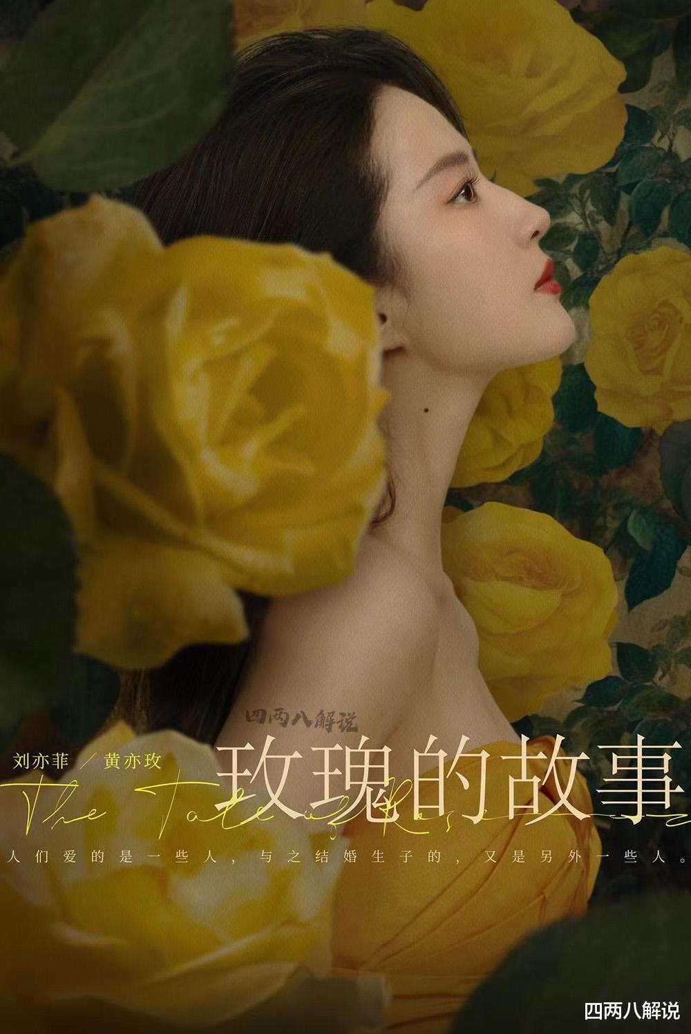 近期热播五部电视剧，一部比一部好看！《玫瑰的故事》排第五