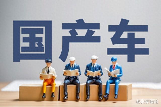 专家：我从不买国产车，国有的一定是差的！