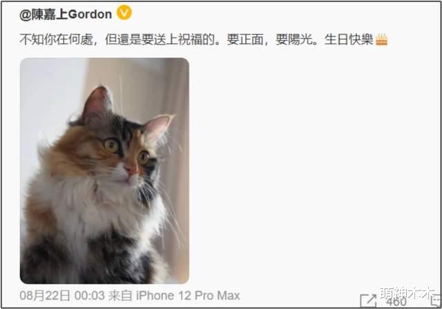 33岁郑爽近照曝光,发际线后移星味全无,还在用3年前的旧手机