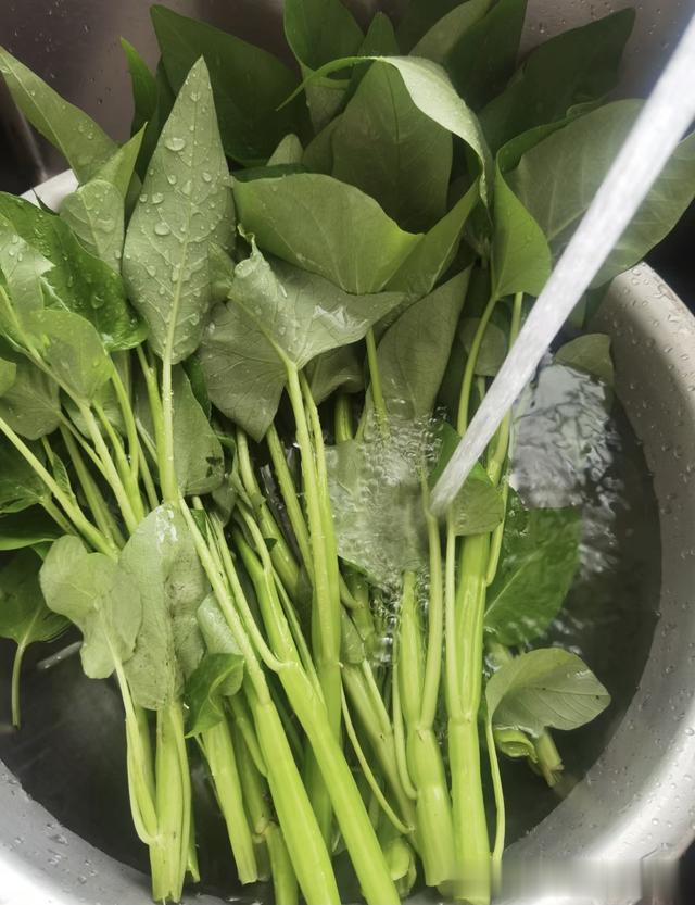 越吃越瘦的一道菜，夏天遇见别手软，随手拌一盘，赶走大肚腩！