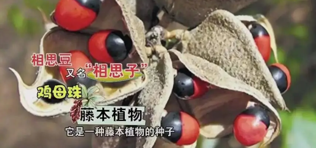 这4种文玩，被称为“文玩圈的毒瘤”，别再傻傻踩坑了