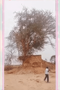 姑娘大意了，镜片里的反射被大家看得一清二楚，不觉得尴尬吗