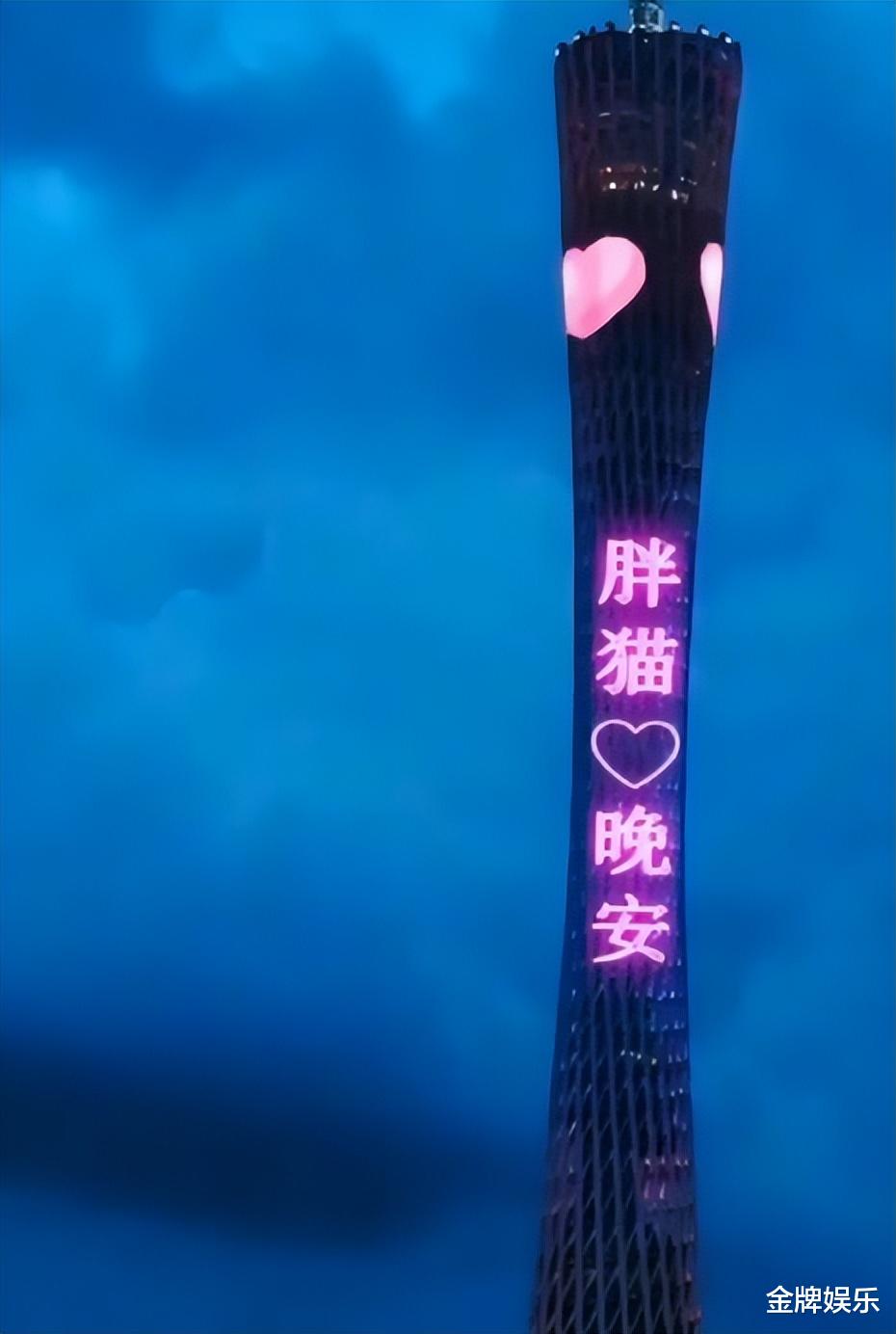 胖猫多张照片出炉,长得很帅气,配谭某绰绰有余