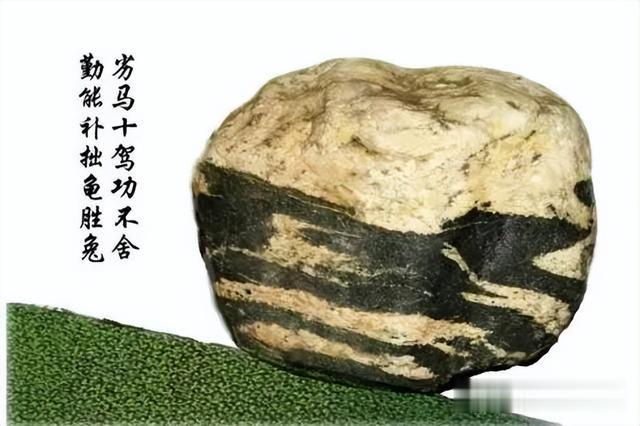 北大姚洋说:上职高就是没出息，反对中考分流