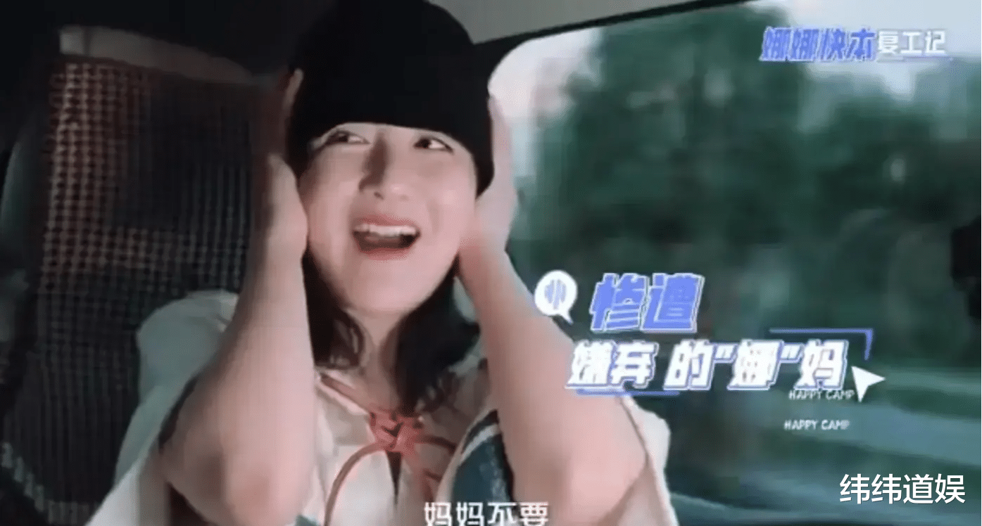 谢娜|谢娜，还能做回曾经那个自己吗？