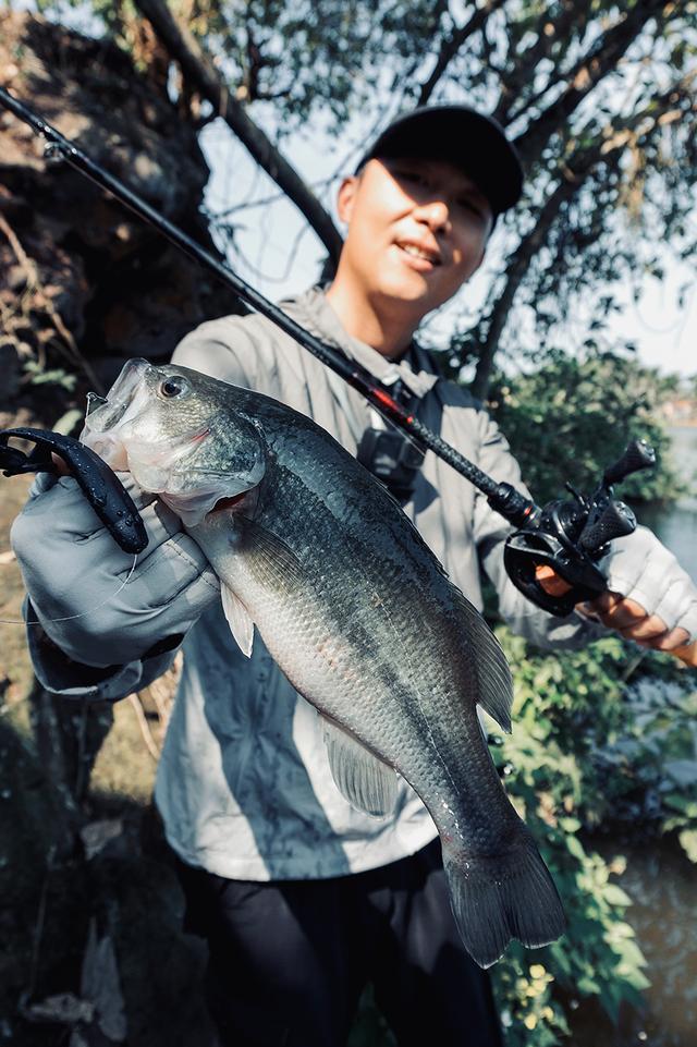 NS|人鱼博弈 鲈此可爱 ? 23复仇者