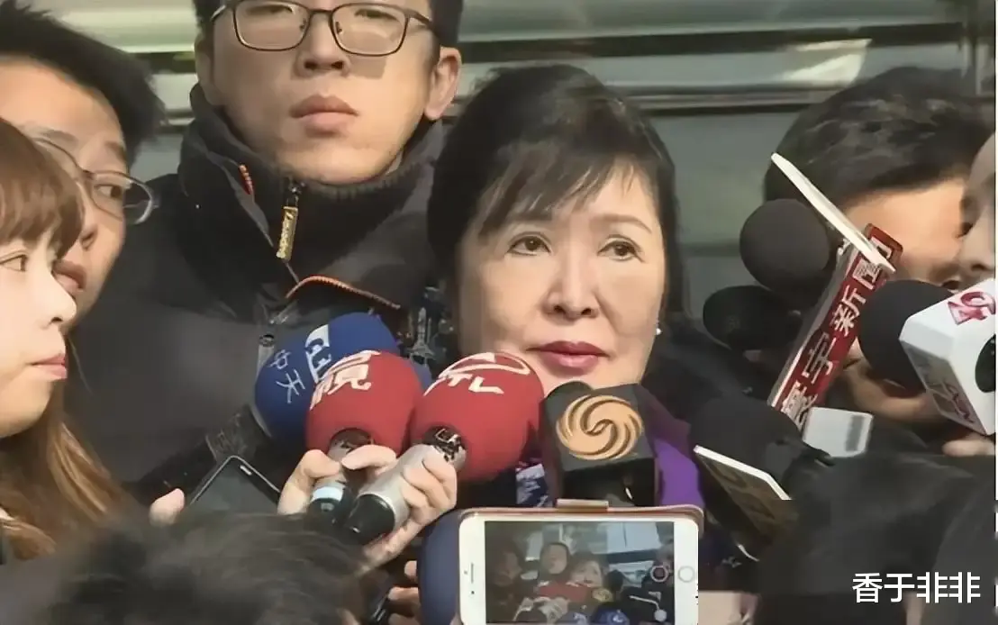 19年“台独”分子郑丽君：大肆宣扬“去中国化”，遭明星当众掌掴