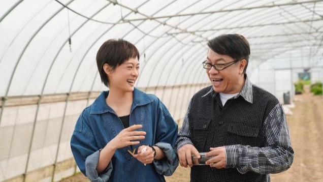 央视官宣！36集都市剧来了，孙俪主演3大看点太新颖，收视率稳了