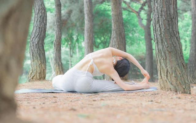 【每日拉伸】全方位背部拉伸高清动图！