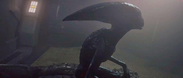 未删减《普罗米修斯》,工程师原来是这样创造了两种异形与黑水