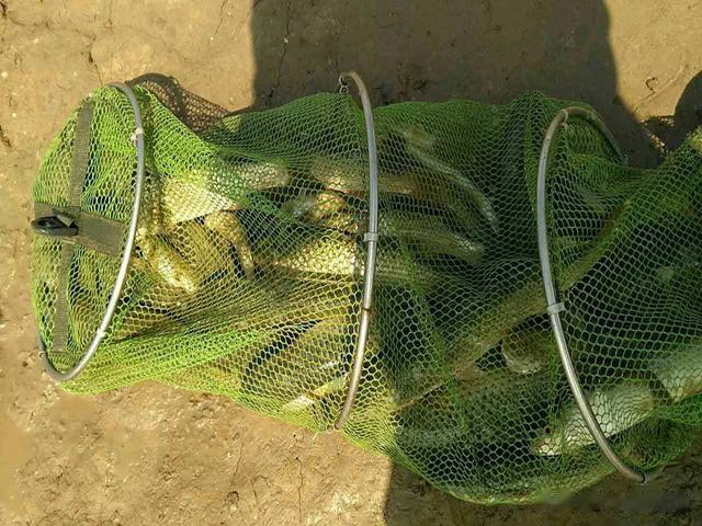 为什么,越来越多的钓鱼人,不把渔获当回事了?