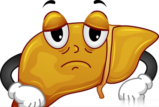 肝胆湿热不除，健康全无，有一个药，清湿热利痰浊，强过龙胆泻肝