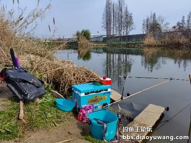 春钓浅滩，带包地狱猫就够了