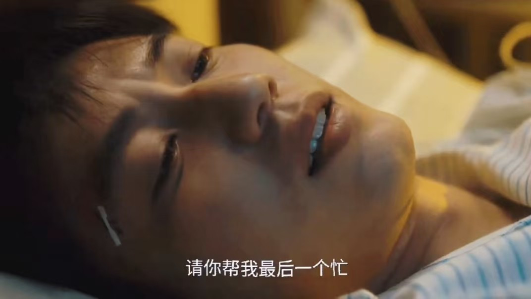 电视剧热榜：《仙台有树》第四，《难哄》第二，第一太稳啦！