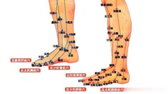 每天转动这2个地方，打通12条经络！活血舒经调理脏腑、预防血栓