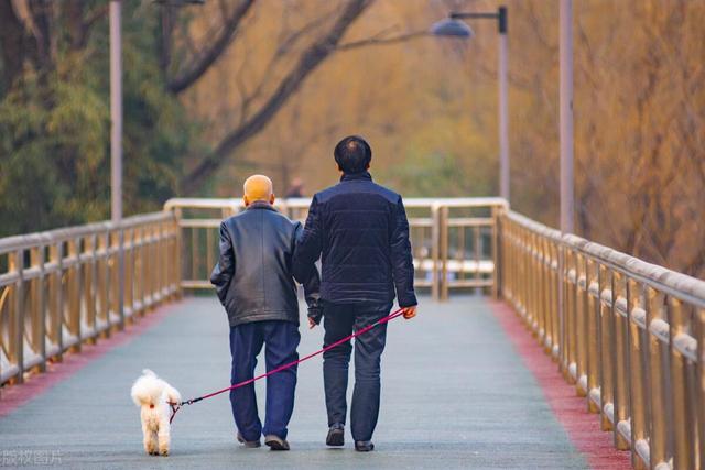 让体脂率下降的15个小习惯,闭眼就能掉秤!