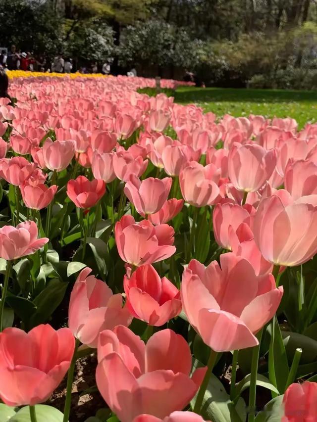 网友分享：发现了一个减肥可以偷懒的秘诀