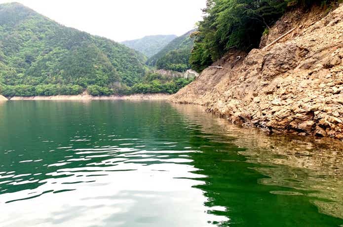 夏日垂钓:路亚鲈鱼的黄金季节与指南