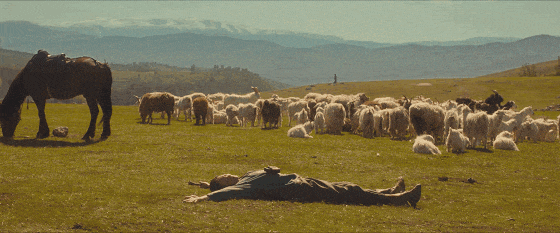 2024年豆瓣评分最高的10部国产剧：《庆余年2》第10，《繁花》第2