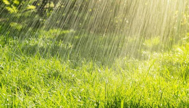 夏天雨季钓鱼必备攻略,出钓时机、钓位轻松选择!鱼获更多!