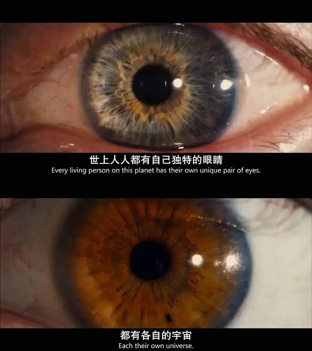 “成片全靠P、海马体直呼内行”，一生爱出片的打工人花几百就为给眼珠子拍写真？