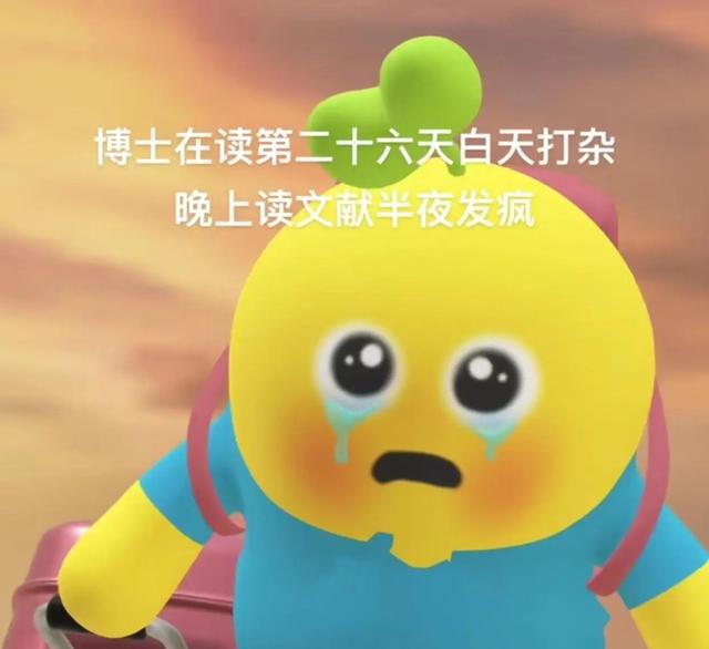 厦大硕士找月薪12K工作被拒，吐槽硕士廉价，博士退学后悔了吗？