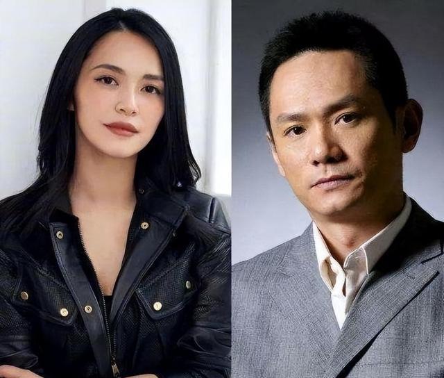 离婚13年后,再看姚晨和凌潇肃的婚姻,才明白唐一菲有多冤?