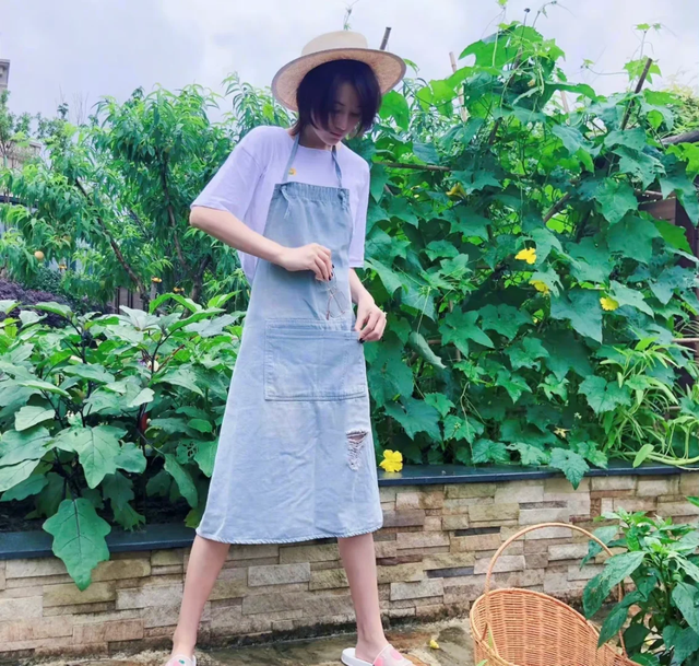 张馨予的豪宅曝光，无数人直呼羡慕: 花海美不胜收，菜园圈粉百万