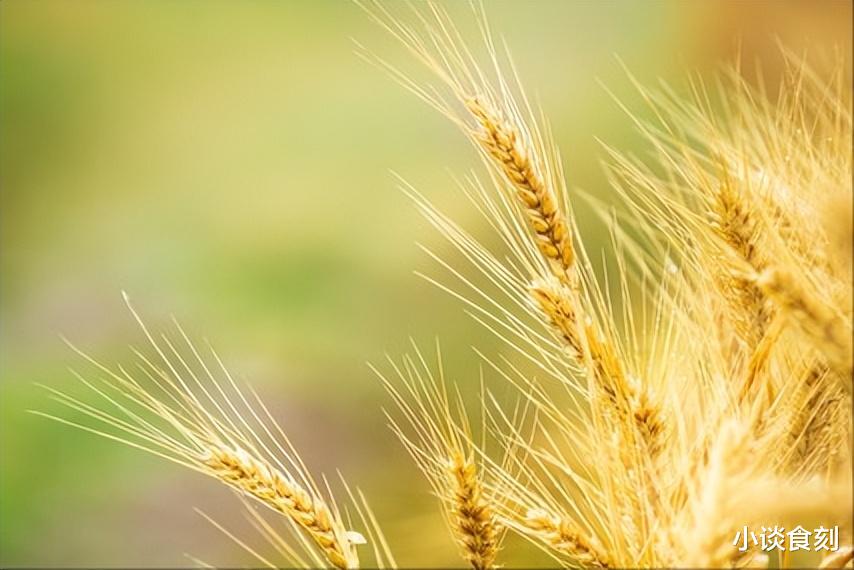 老话说“四月廿九有三怕”,人们到底在怕什么?农村农谚早有答案