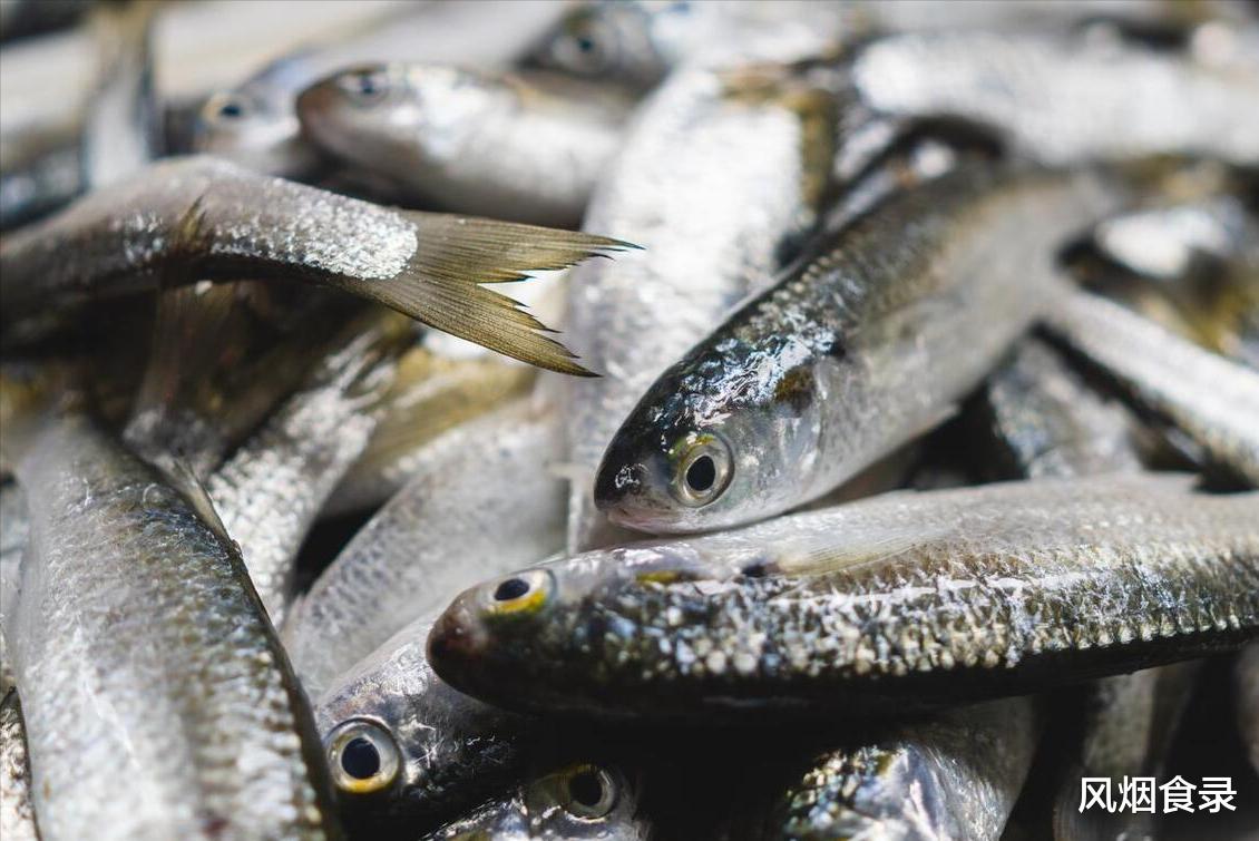 9月，吃啥应季海鲜？渔民推荐这10种，新鲜，肥美，错过再等一年