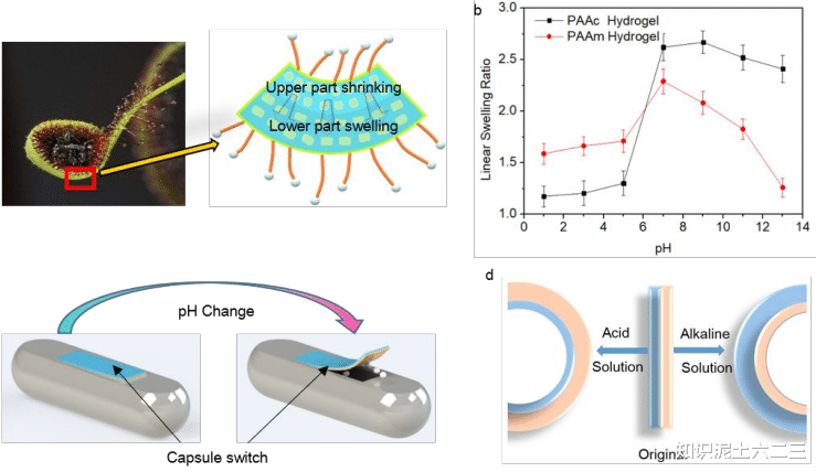 水凝膠微型機(jī)器人，材料多樣性能優(yōu)