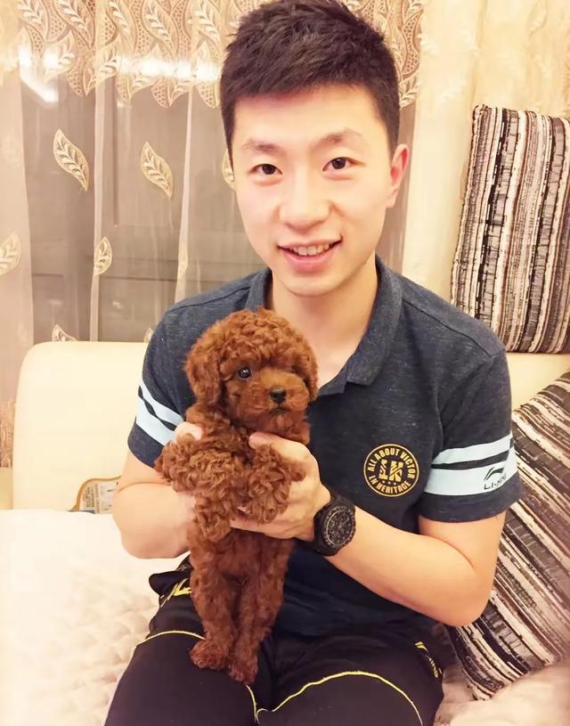 马龙：开挂的人生因为娶了好老婆！他只管坚持热爱，龙嫂负重前行