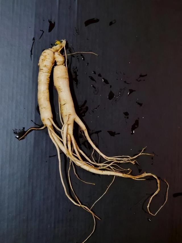 曾经很火，如今跌落神坛的7种“天价神药”，你买过几种？